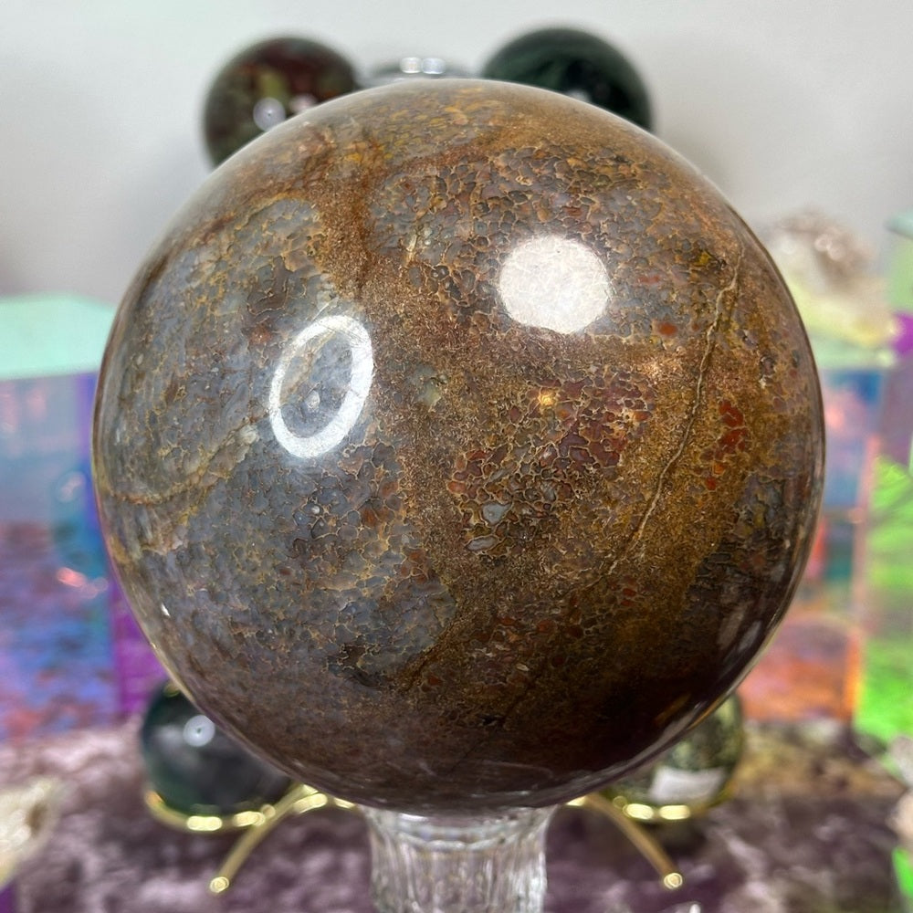 Dinosaur 🦖 Bone 🦴 Sphere DBS01