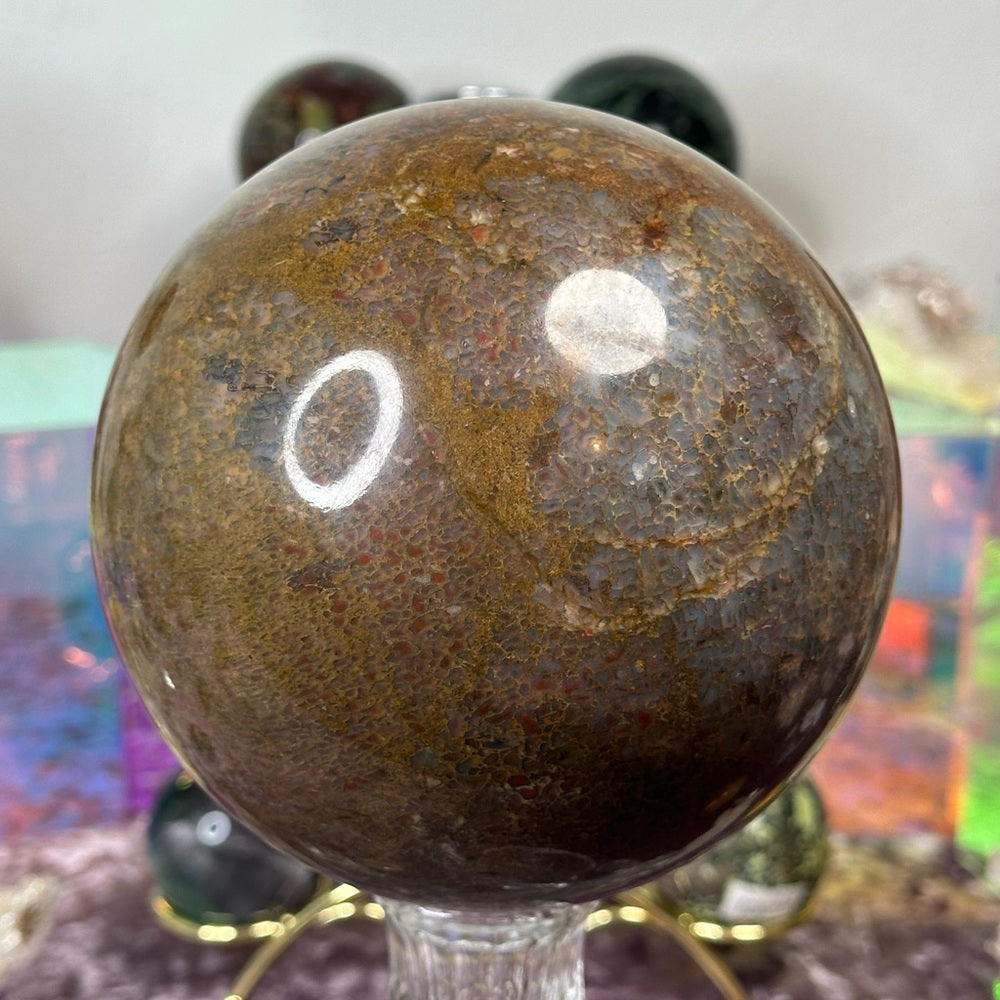 Dinosaur 🦖 Bone 🦴 Sphere DBS01