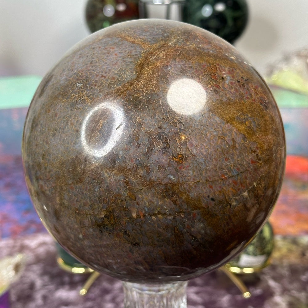 Dinosaur 🦖 Bone 🦴 Sphere DBS01