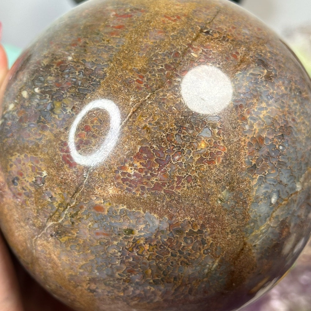 Dinosaur 🦖 Bone 🦴 Sphere DBS01