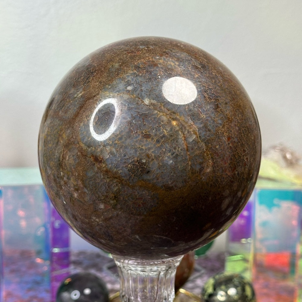 Dinosaur 🦖 Bone 🦴 Sphere DBS01