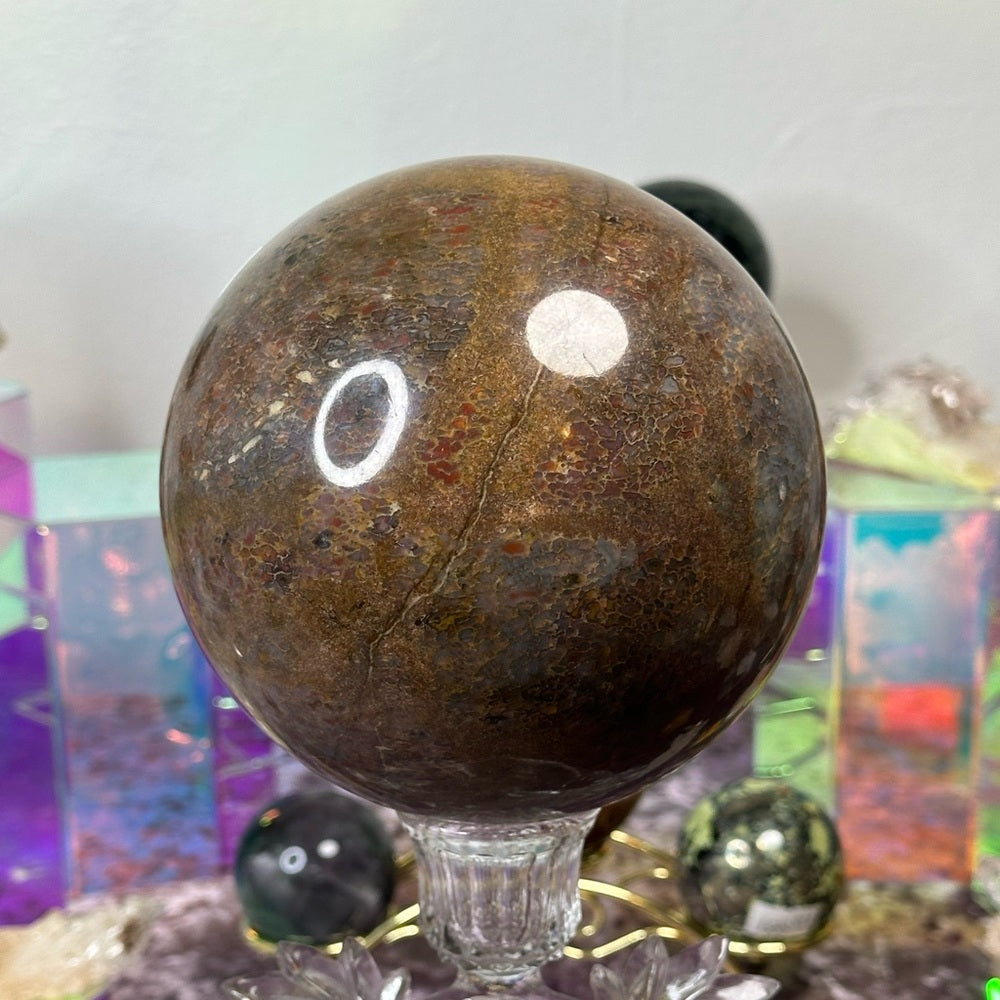 Dinosaur 🦖 Bone 🦴 Sphere DBS01