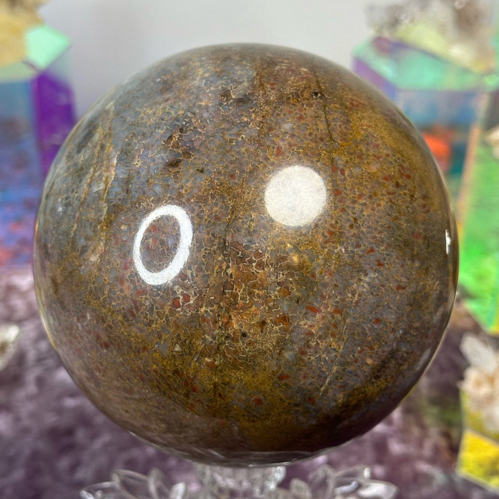 Dinosaur 🦖 Bone 🦴 Sphere DBS01
