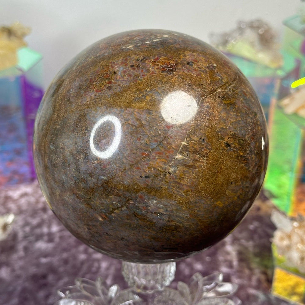 Dinosaur 🦖 Bone 🦴 Sphere DBS01