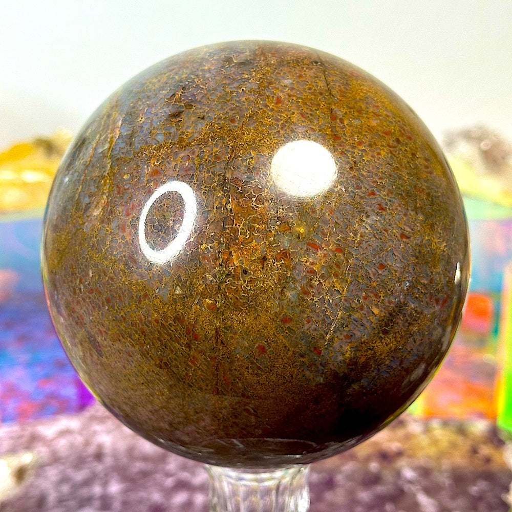 Dinosaur 🦖 Bone 🦴 Sphere DBS01